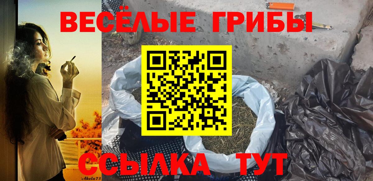 Новый Уренгой  Галлюциногенные грибы Psilocybe  Вход с VPN  Галлюциногенные грибы Psilocybine cubensis 